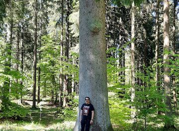 germany/eifel/landmark/konigsfichte