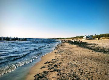 lithuania/palanga-beach/landmark/monkey-bridge