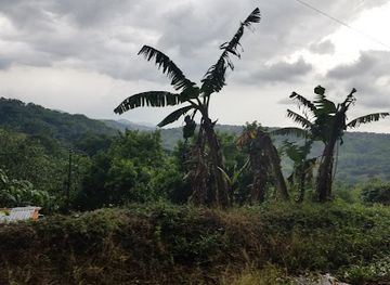 jamaica/pedro-plains/landmark/bull-head-mountain