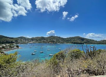 saint-vincent-and-the-grenadines/saint-george/landmark/fort-hamilton