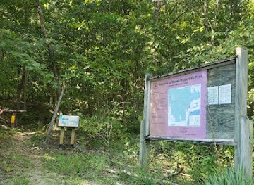 indiana/hoosier-national-forest/landmark/mogan-ridge-east-trailhead