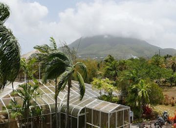 saint-kitts-and-nevis/nevis-peak/landmark/nevis-botanical-gardens