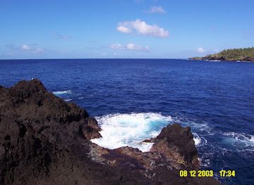 american-samoa/leone/landmark/turtle-and-shark