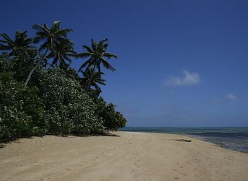 tonga/pangaimotu/landmark/boats-to-pangaimotu