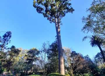 uruguay/montevideo/landmark/montevideo-japanese-garden-hei-sei-en