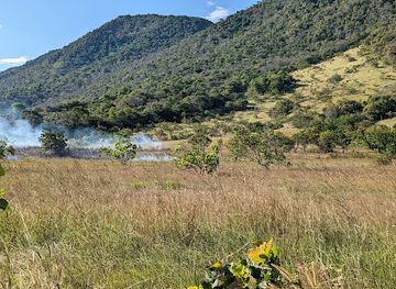 guyana/rupununi/landmark/rupununi-savannahs