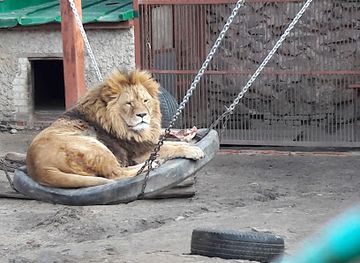ukraine/vysokyi-verkh/landmark/kharkiv-zoo