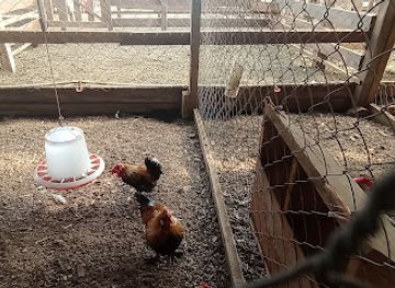 panama/bocas-del-toro/landmark/finca-agroecologica-y-turistica-la-bonita