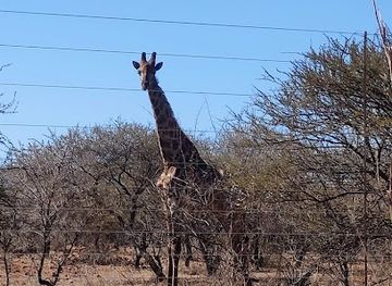 south-africa/bushveld/landmark/rust-de-winter-nature-reserve
