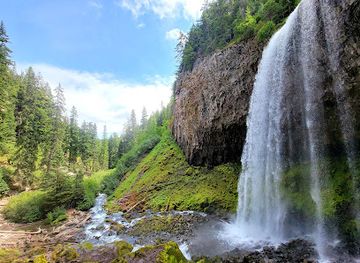 oregon/mount-hood-national-forest/landmark/tamanawas-falls-trailhead