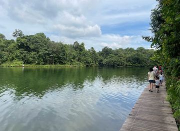 singapore/macritchie-reservoir/landmark/oncospermum-trail