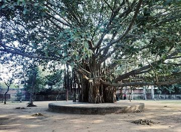 india/punjab/landmark/nehru-rose-garden