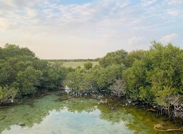 qatar/al-thakira-mangroves/landmark/al-thakeera-beach