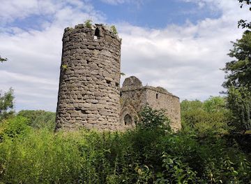 ireland/county-kilkenny/landmark/castlemorris-woods