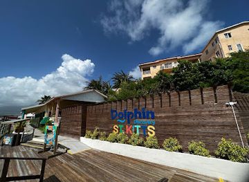 Dolphin Discovery Saint Kitts