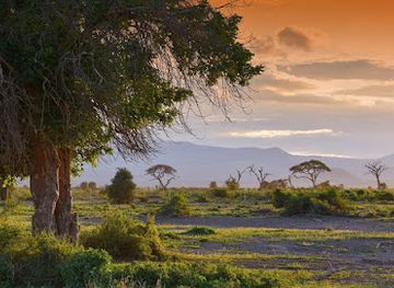 kenya/kitui-plains/landmark/amboseli-national-park