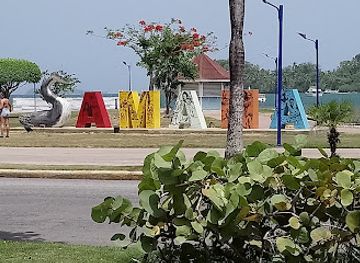 dominican-republic/samana/landmark/d-milagros-sazon