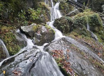 tennessee/great-smoky-mountains-national-park/landmark/the-place-of-a-thousand-drips