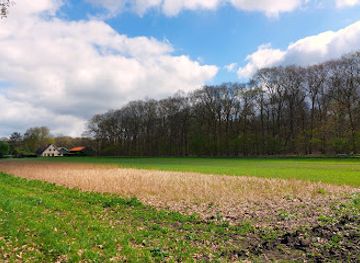 netherlands/veluwe-national-park/landmark/rijk-der-heide