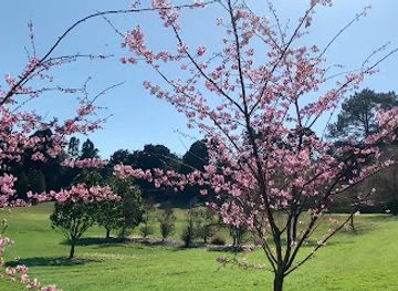new-zealand/wanaka/landmark/riverside-park