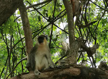 Bijilo National Park