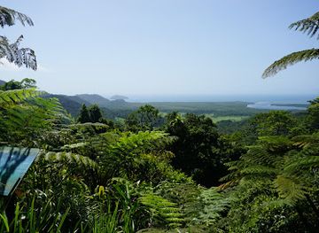 australia/cape-tribulation/landmark/daintree-rainforest
