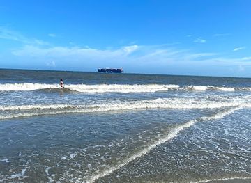 south-carolina/charleston-area-beaches/landmark/sullivan-s-island-beach