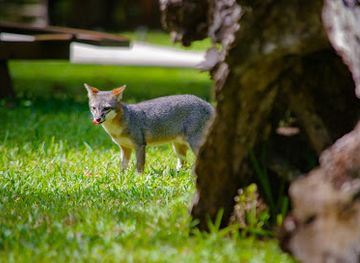 belize/orange-walk-district/landmark/la-milpa-archaeological-site