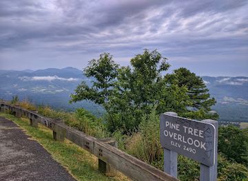 virginia/blue-ridge-parkway/landmark/pine-tree-overlook