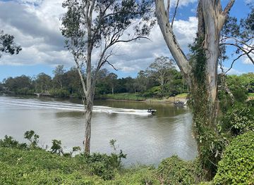 australia/brisbane/landmark/lone-pine-koala-sanctuary