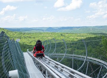 missouri/branson/landmark/copperhead-mountain-coaster