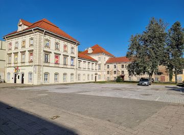 lithuania/vilnius-region/landmark/radvila-palace-art-museum