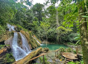 guatemala/caribbean-coast/landmark/sendero-de-bosque-tropical-las-escobas