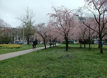 germany/heidelberg/landmark/hommage-an-goethe