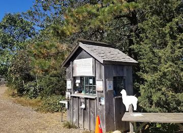 massachusetts/martha-s-vineyard/landmark/island-alpaca-company