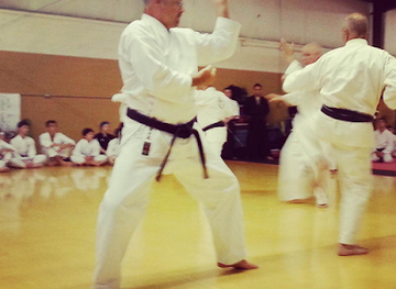 tennessee/smyrna/landmark/o-riley-karate-centers-llc