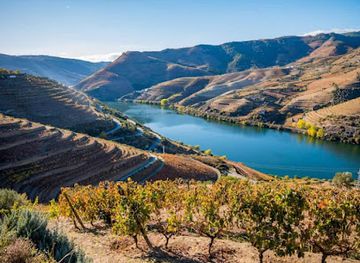 portugal/douro/landmark/douro-velho