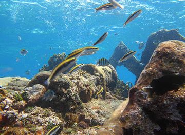 nicaragua/corn-islands/landmark/corn-island-dive-center