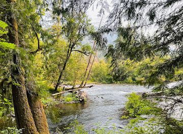 oregon/lane-county/landmark/mckenzie-river-trail