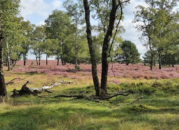 netherlands/veluwe-national-park/landmark/deelerwoud
