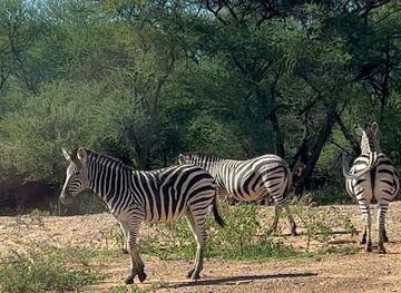 botswana/southern-district/landmark/gaborone-game-reserve