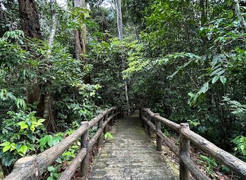 brunei/belalong-canopy-walkway/landmark/bukit-patoi-recreational-park