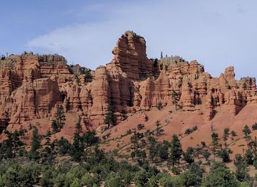 utah/bryce-canyon-city/landmark/bryce-wildlife-adventure