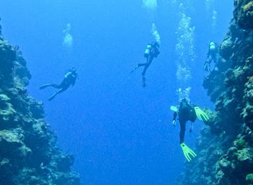 new-caledonia/la-foa/landmark/la-foa-plongee