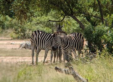 south-africa/kruger-national-park/landmark/skukuza-rest-camp