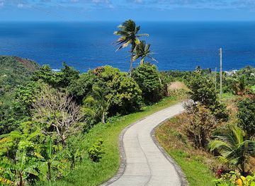 dominica/castle-bruce/landmark/central-forest-reserve