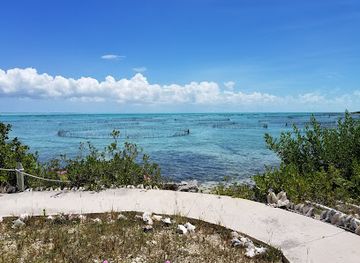 turks-and-caicos-islands/pine-cay/landmark/caicos-conch-farm