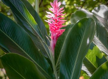 mexico/huatulco/landmark/hagia-sofia-huatulco