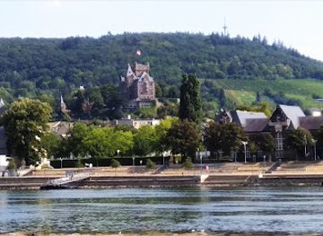 germany/upper-rhine/landmark/klopp-castle