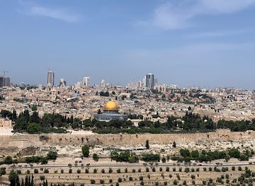 israel/central-district/landmark/shlomi-the-funtastic-private-tour-guides-in-israel